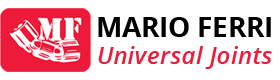 Логотип Mario Ferri